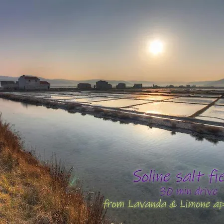 Lavanda & Limone Daire Koper