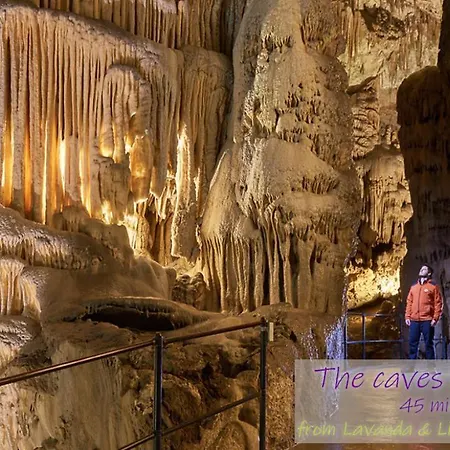 Daire Lavanda & Limone *