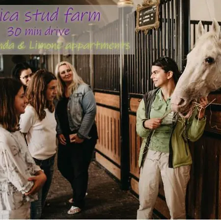 Lavanda & Limone * Koper