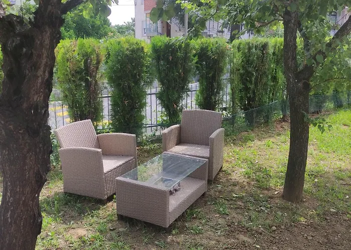 Lavanda & Limone 코페르