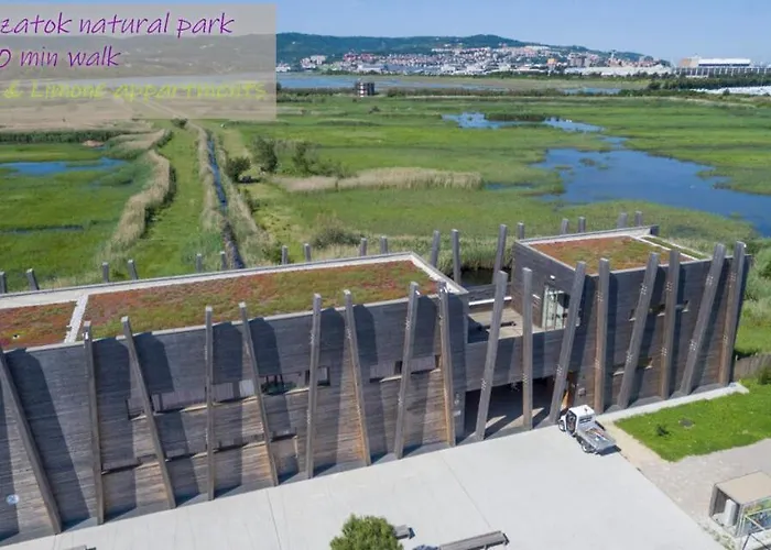 Lavanda & Limone 코페르